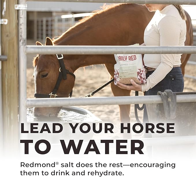 REDMOND Daily RED Crushed - Mineral Supplement for Horses (Garlic (5 LB))