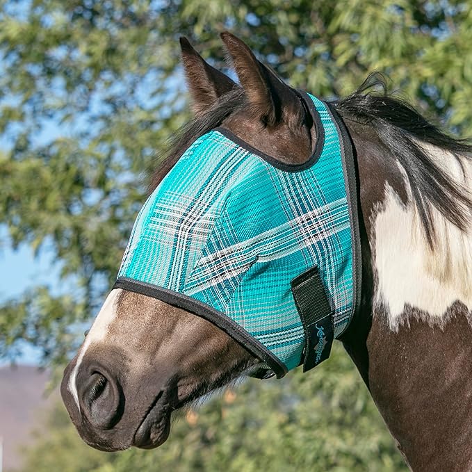 Kensington Fly Mask Web Trim Protects Horses Face and Eyes from Bites and Sun Rays While Allowing Full Visibility Ears and Forelock Able to Come Through The Mask, Small, Atlantis