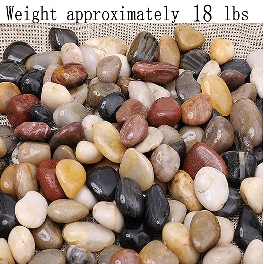 XXYXXY Natural River Rocks Decorative Rocks, Succulents, Highly Polished Decorative Pebbles in Shapes and Sizes from 1-3 inches. (18LB, 1)