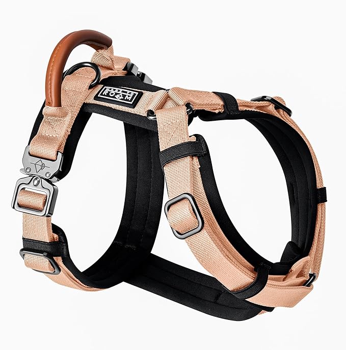 MADE TO ROAM Premium Explorer Harness - Y-Shaped Dog Harness with Adjustable Durable Nylon, Soft Padding, Metal Buckles and Leather Handle for Small, Medium, Large Dogs (Carolina Blooms, Size 5)