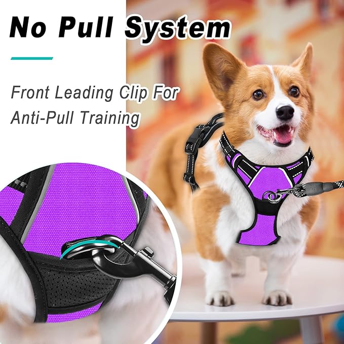 BARKBAY No Pull Dog Harness Large Step in Reflective Dog Harness with Front Clip and Easy Control Handle for Walking Training Running(Purple,S)