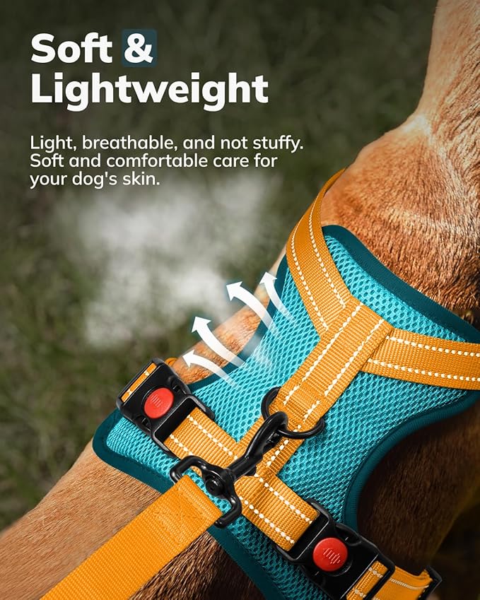 MIDOG No-Pull Dog Harness | Adjustable & Reflective Pet Harness Leash Set for Small Medium Large Dogs Walking, Training| No Choke, Front Clip, Soft Padded Vest with Easy Control Handle - Blue, XL