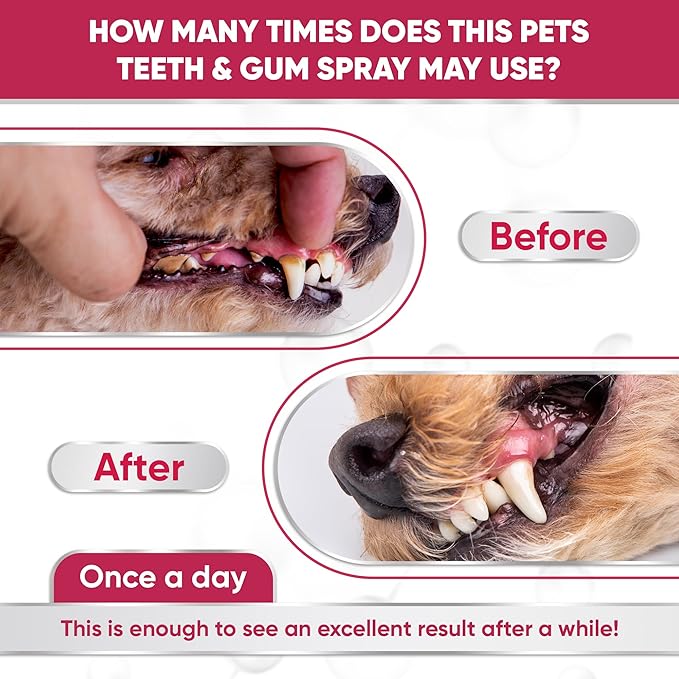 Dental Spray for Pets – Cat & Dog Breath Freshener That Helps with Tartar, Plaque, & Bad Odor – Silver 50 PPM + Valerian Flavour for Dog Teeth Cleaning – 4 Oz