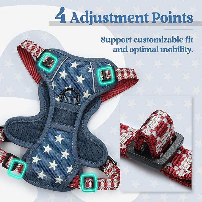 rabbitgoo Dog Harness No Pull with 2 Leash Clips, Adjustable Soft Padded, Reflective Oxford No Choke Pet Vest with Easy Control Handle for Large Dogs, Blue Star, XS