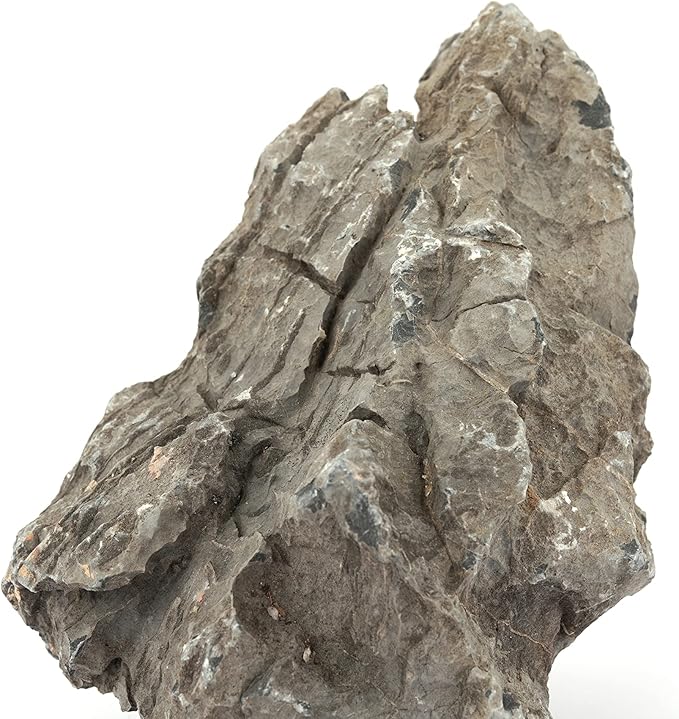 LANDEN Seiryu Stones Natural Rocks for Aquarium, Paludarium, Terrariums, Landscaping Rocks, Aquascaping, 80L (36lbs) 3-11in, Seiryu Stones(3-11inch,36lbs)