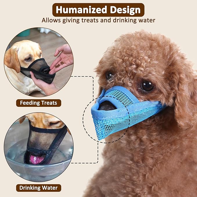 Crazy Felix Nylon Dog Muzzle for Small Medium Large Dogs Dachshund Beagle Poodle Labrador, Air Mesh Breathable and Drinkable Pet Mouth Guard for Anti-Biting Chewing Scavenging(XS, Blue)