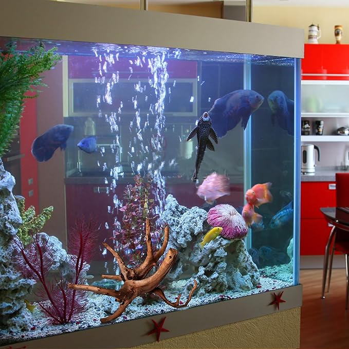 majoywoo Natural Driftwood for Aquarium Decor Fish Tank Decorations, Assorted Spider Wood Branch 4-8" 5 Pcs, Reptile Decor