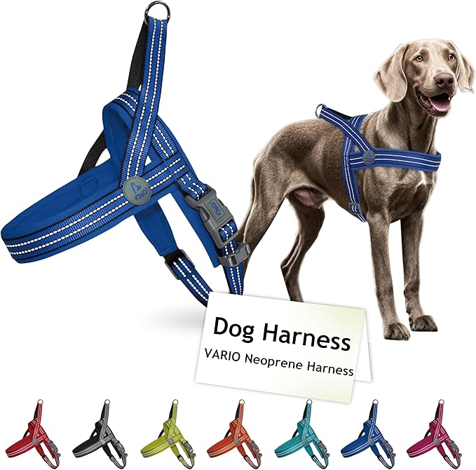 DOCO No-Pull Dog Harness Halter Reflective Easy-Control Harness for Training, Walking, and Preventing Pulling, Ideal for Medium Dogs(Navy Blue)