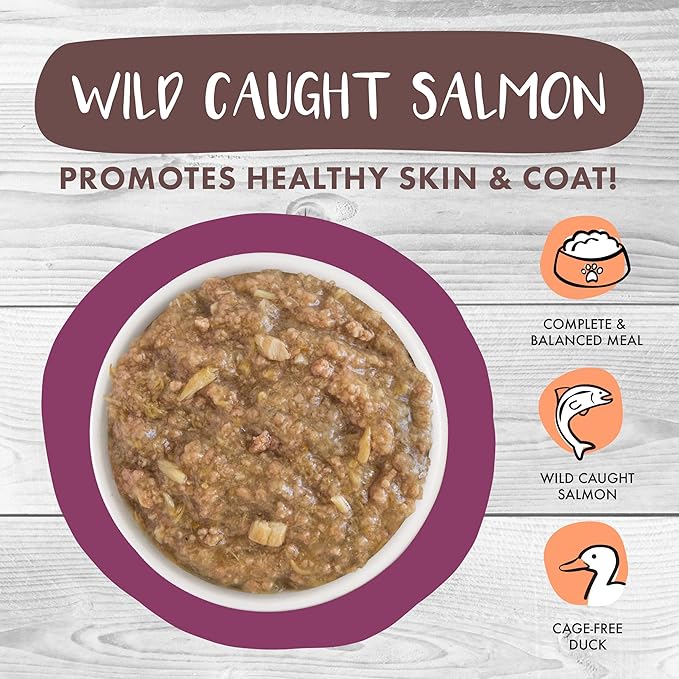 Weruva Classic Cat Stews, Stick A Spork in It with Duck & Salmon in Gravy, 3oz Pouch (Pack of 12)