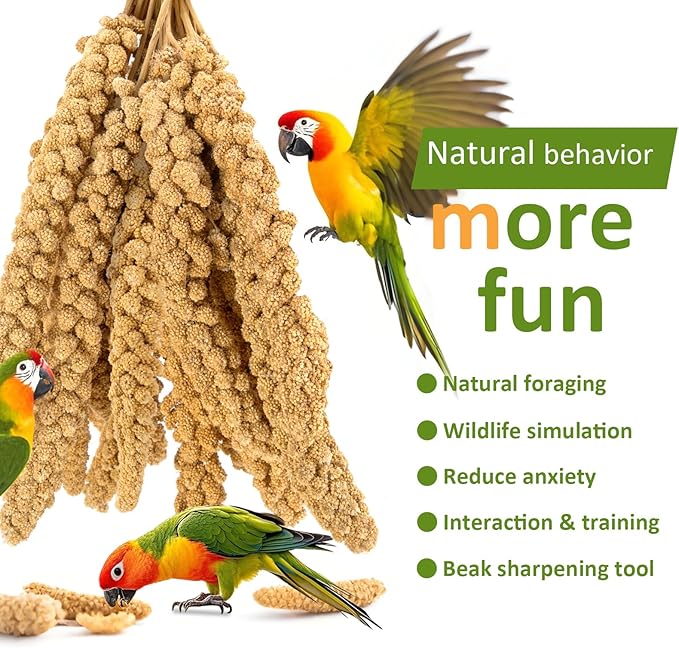 Spray Millet for Birds 5LB - All Natural Sun-Dried Healthy Treat, Millet Spray for Parakeets, Parrots, Lovebirds, Cockatiels Food, 100% Non-GMO High Protein Fresh Bird Seed