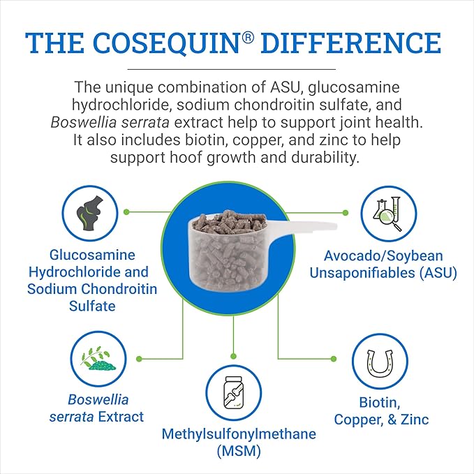 Nutramax Laboratories Cosequin ASU Joint & Hoof Pellets Joint Health Supplement for Horses - Pellets with Glucosamine, Chondroitin, MSM, and Biotin, 1200 Grams