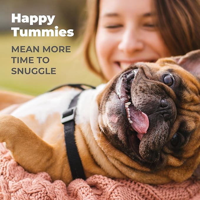 Vetnique Glandex Daily Probiotics for Dogs with Prebiotics to Support Gut Health with Fiber and Digestive Enzymes, Probiotic Chews or Powders (60ct Chews, Bacon Chews)