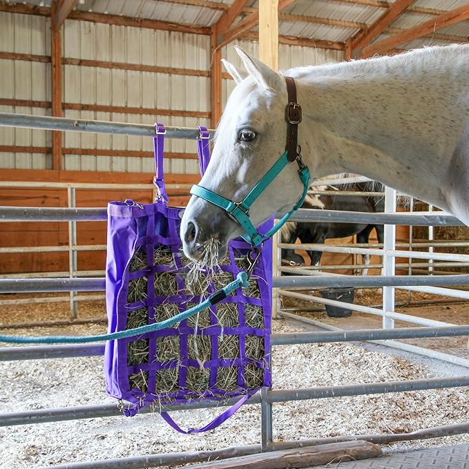 Majestic Ally Leather Halter with Matching Lead Rope for Horses – Leather Breakaway Crown - Adjustable Chin Strap – Rolled Throat Latch – Padded Noseband – Full (Purple, Full)
