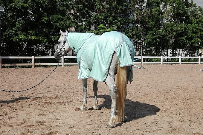 Horse Fly Sheet with Detachable Neck Cover & Belly Wrap, Adjustable Fly Sheet for Horses, Ventilated Airflow Mesh Equine Cooling Summer Flysheet Green 84