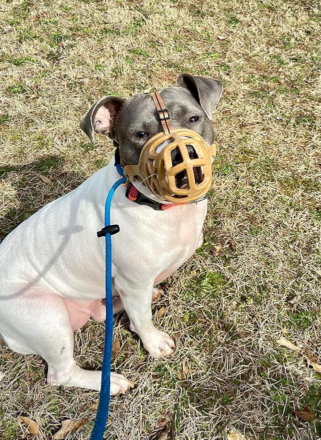 Mayerzon Dog Muzzle, Breathable Basket Muzzles for Small, Medium, Large and X-Large Aggressive Dogs Beagle German Shepherd Doberman, Cage Mouth Guard Stop Biting Chewing for Grooming Training