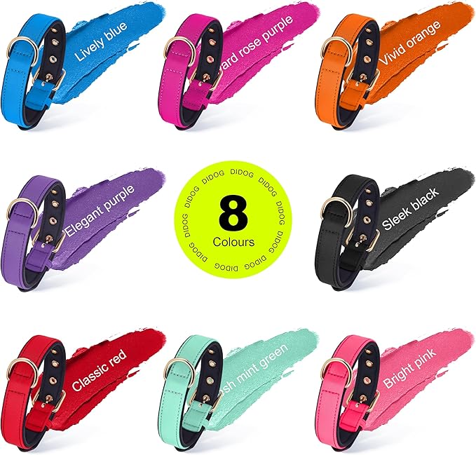 Didog Soft Padded Dog Collars for Small Dogs, Lightweight and Breathable Dog Collar with Metal Buckle, Green, M