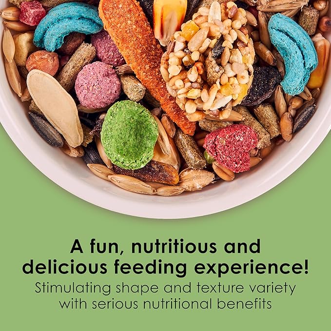 Kaytee Fiesta Hamster & Gerbil Food, Nutritious and Fun Blend, Supports Dental Health and Digestion, 4.5 pounds