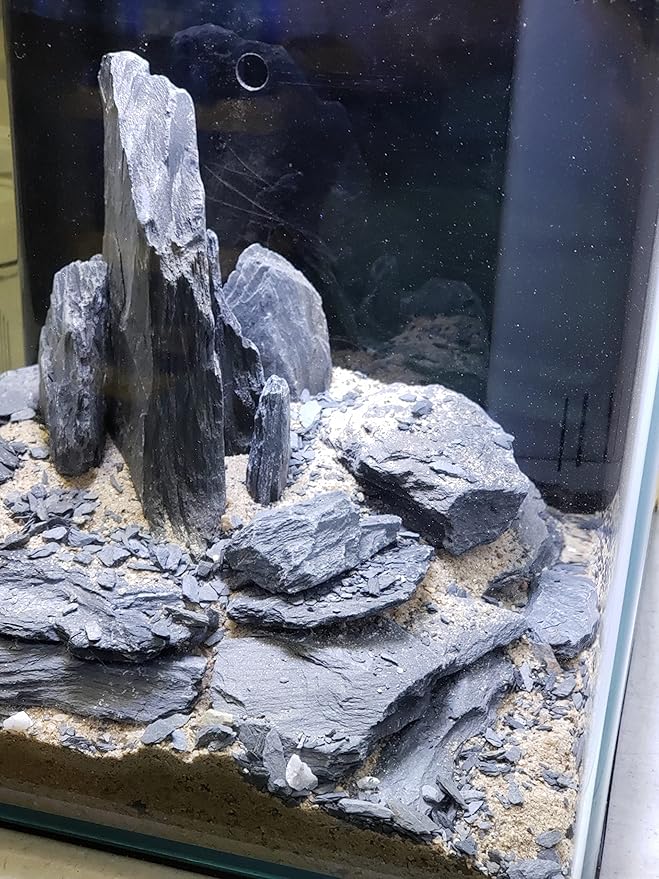 Natural Slate Stone 5 to 7 Inches - USA Sourced and Packaged for Aquascaping Aquariums, Terrariums, Paludariums, Reptile Enclosures, and Gardens (10lbs)