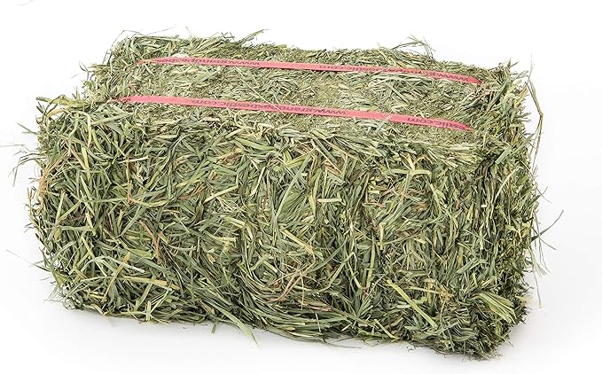 Grandpa's Best Orchard Grass Bale, 5 lbs,green