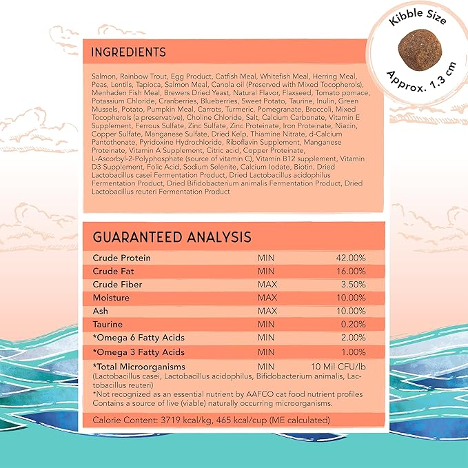 Blackwood Bounty Dry Cat Food, Salmon & Rainbow Trout Recipe for All Life Stages, 2 Pound Bag, High Protein, Grain Free