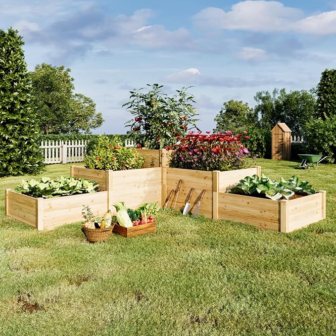 AMERLIFE 3-Tier Raised Garden Bed for Outdoor Gardening, Fir Wood Planter Box with Dividers, Tool-Free Assembly, Garden Box Perfect for Vegetables, Herbs, and Flowers