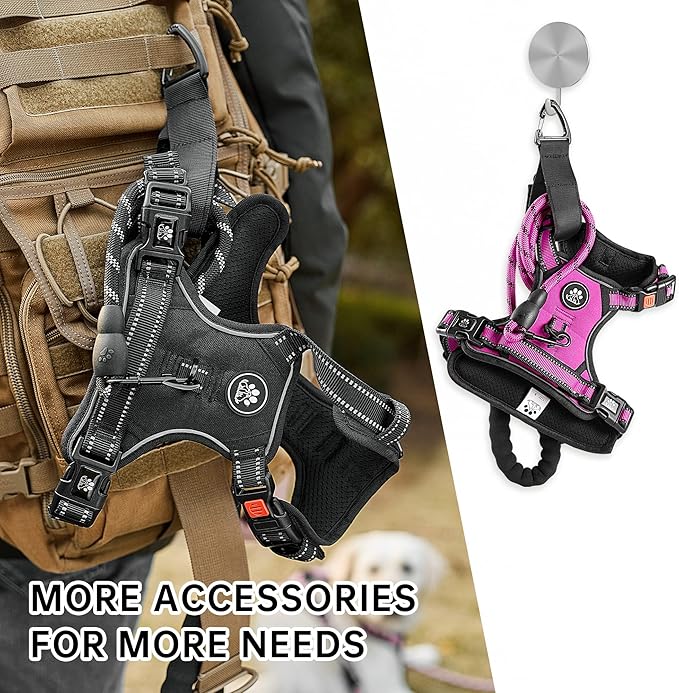 NESTROAD No Pull Dog Harness,Adjustable Oxford Dog Vest Harness with Leash,Reflective No-Choke Pet Harness with Easy Control Soft Handle for Small Medium Dogs(Medium,Fuchsia Pink)