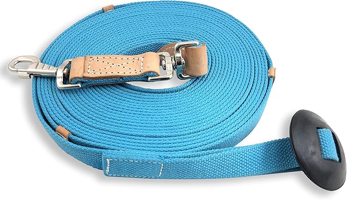 Southwestern Equine 35' Flat Cotton Web Lunge Line with Bolt Snap & Rubber Stop (35', Turquoise)