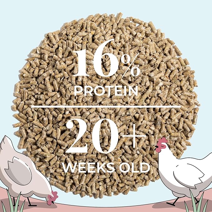 Organic Chicken Feed – Layer Pellet, Non-GMO, USA Grown, 16% Protein, Corn-Free, Soy-Free, Non-Medicated Feed for Chickens, 23 lbs