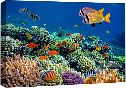 wall26 Canvas Print Wall Art Vibrant Coral Reef Underwater Panorama Nature Animals Photography Realism Rustic Scenic Landscape Wilderness Earth Colorful for Living Room, Bedroom, Office - 24"x36"