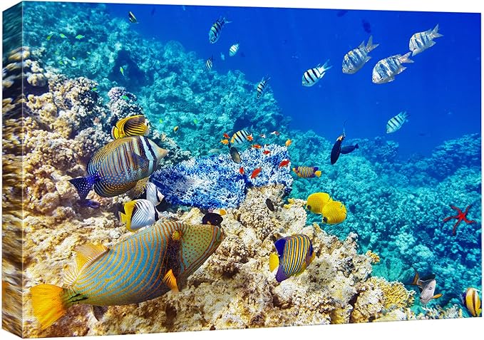 wall26 Canvas Print Wall Art Underwater Neon Blue Teal Ocean Water Fish Nature Animals Photography Realism Rustic Scenic Landscape Wilderness Earth for Living Room, Bedroom, Office - 24"x36"