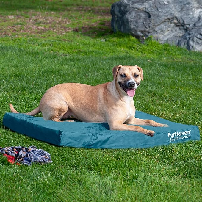 Furhaven Water-Resistant Cooling Gel Dog Bed for Large/Medium Dogs w/ Removable Washable Cover, For Dogs Up to 55 lbs - Indoor/Outdoor Logo Print Oxford Polycanvas Mattress - Deep Lagoon, Large