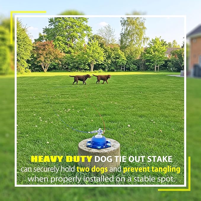 360° Swivel Dog Tie Out Stake with Upgrade 6 Screw Dog Anchors, Heavy Duty & Rust Proof Dog Stake Can Holds 1000Lbs of Pull Force, Up to 150lbs Dogs Perfect to Camping Yard Outdoor (Blue)