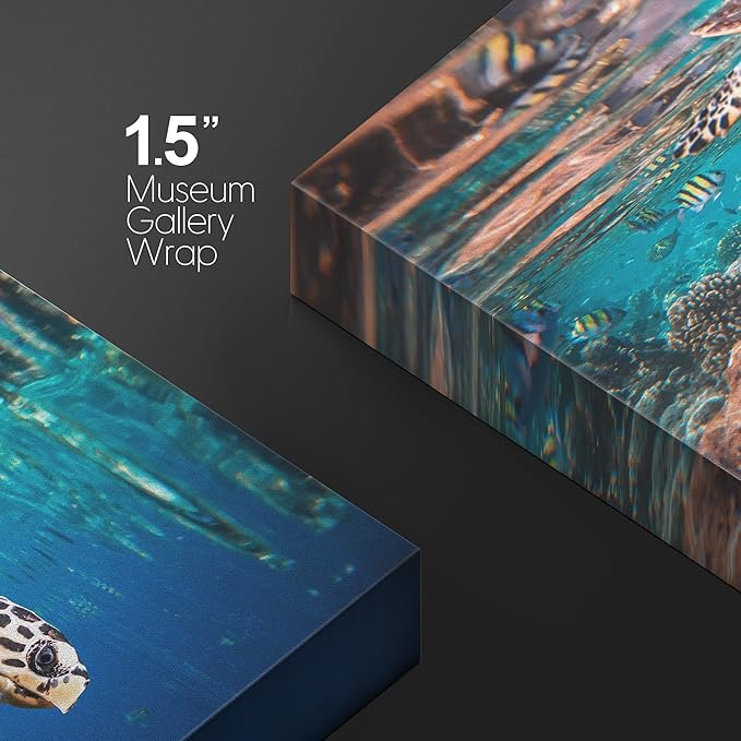 wall26 Canvas Print Wall Art Tropical Turtle Coral Reef Deep Sea Dive Nature Animals Photography Realism Rustic Scenic Landscape Wilderness Earth Colorful for Living Room, Bedroom, Office - 16"x24"