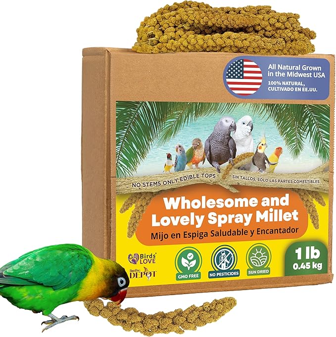 Birds LOVE Spray Millet – 1 lb GMO-Free, No Stems (Edible Tops Only) – Healthy Treat for Cockatiels, Lovebirds, Parakeets, Finches & Canaries