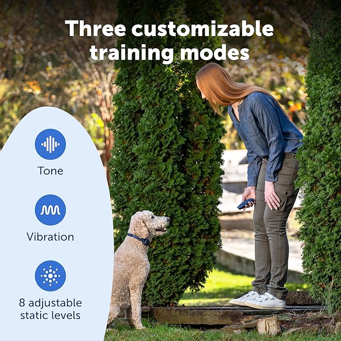 PetSafe Basic Dog Trainer with Remote – Waterproof Training Collar – 300 ft Range – Tone, Vibration and Eight Levels of Static