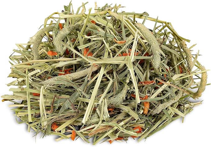 Kaytee Timothy Hay Plus Carrots for Pet Guinea Pigs, Rabbits & Other Small Animals, 24 oz (Pack of 2)