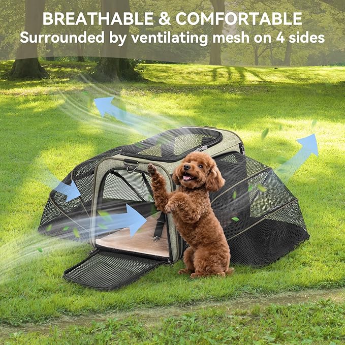 Petsfit Expandable Cat Dog Carrier Airline Approved, 17" L x 11" W x 11" H Soft-Sided Portable Pet Travel Carrier for Kitten, Puppy, Removable Soft Plush Mat and Pockets, Auto-Locking Zippers