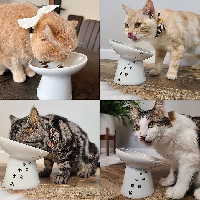 Necoichi Extra Wide Raised Cat Food Bowl, Elevated, Prevent Neck & Whisker Fatigue, Dishwasher and Microwave Safe, No.1 Seller in Japan! (Cat, Extra Wide Tilted)