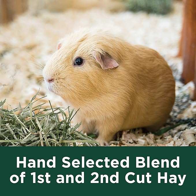 Kaytee All Natural Timothy Hay Plus Marigolds for Guinea Pigs, Rabbits & Other Small Animals, 24 Ounce (Pack of 2)
