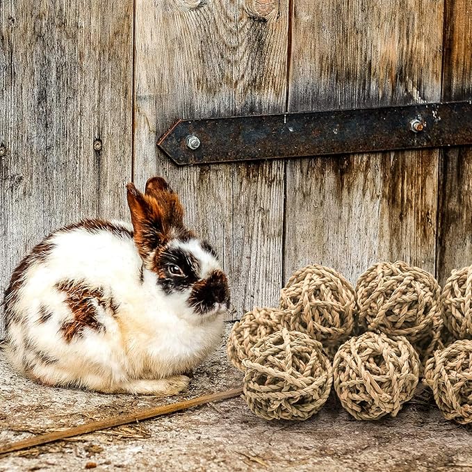 10 Pcs Small Animals Play Balls Rolling Activity Chew Toys Gnawing Treats for Rabbits Guinea Pigs Chinchilla Bunny Natural Balls, Pet Cage Entertainment Accessories(10Pcs)