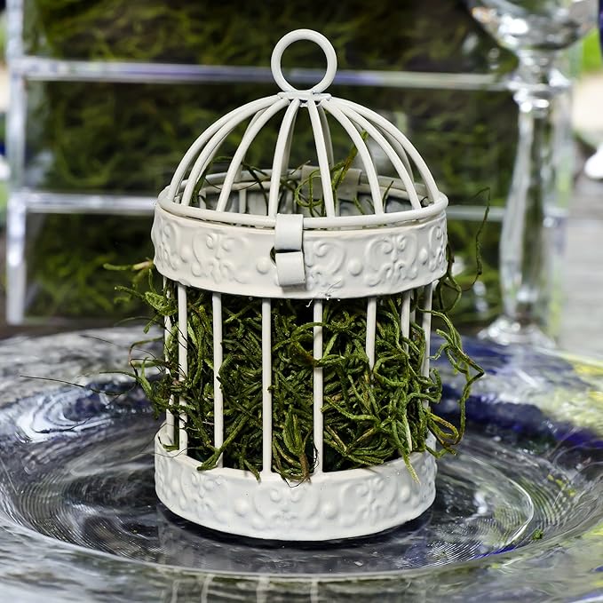Weddingstar Miniature Round Birdcage Favors in White - Pack of 4