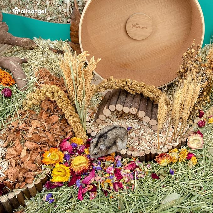 Niteangel Natural & Soft Hamster Bedding Mate Small Animal Habitat Decor for Syrian Dwarf Hamsters Gerbils Mice Degus Bunny or Other Small-Sized Pet (Flowers Scent Path)