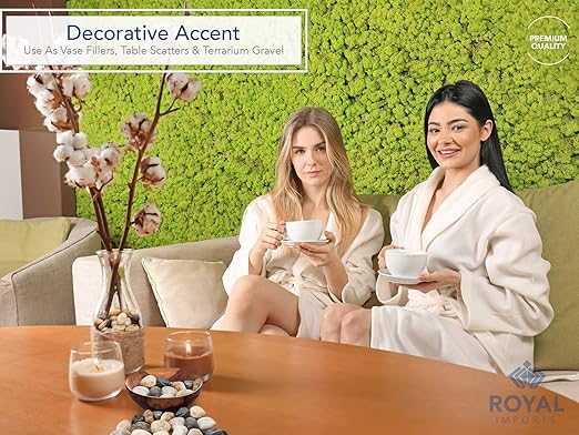 Royal Imports 5LBS River Rocks Decorative Ornamental Pebbles, Garden Landscaping Stones, Gravel Filler for Plants, Vases, Succulents, Home Decor, Aquariums, Crafting, Animal Habitat - Large Natural