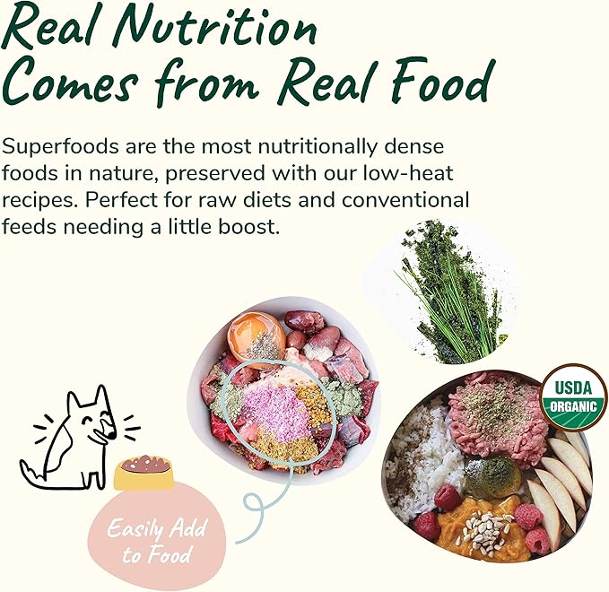 kin+kind Organic Multivitamin for Dogs & Cats - Pet Supplement for Healthy Skin and Coat - Safe, Natural Formula with Wheatgrass, Kelp, Seaweed and Coconut - Made in USA - Bundle (3 x 8 oz)