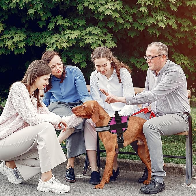 Dogline Dog Harness, Reflective No-Pull Adjustable Vest with Handle, Breathable No-Choke Harness for Small, Medium or Large Dogs Room for Patches Girth 18 to 24 in Pink