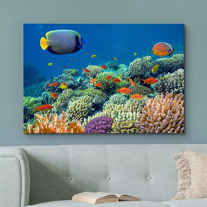 wall26 Canvas Print Wall Art Tropical Underwater Sea Coral Reef Fish Nature Animals Photography Realism Rustic Scenic Landscape Wilderness Earth Colorful for Living Room, Bedroom, Office - 16"x24"