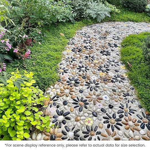 SIDONG 10 LB Mixed River Rocks, 0.3-0.5 Inches High Polished Pebbles for Indoor Plants, Aquarium Rocks Used in Fish Tank, Decorative Stones for Plants, Vases, Home Décor, Crafting, Garden Landscaping