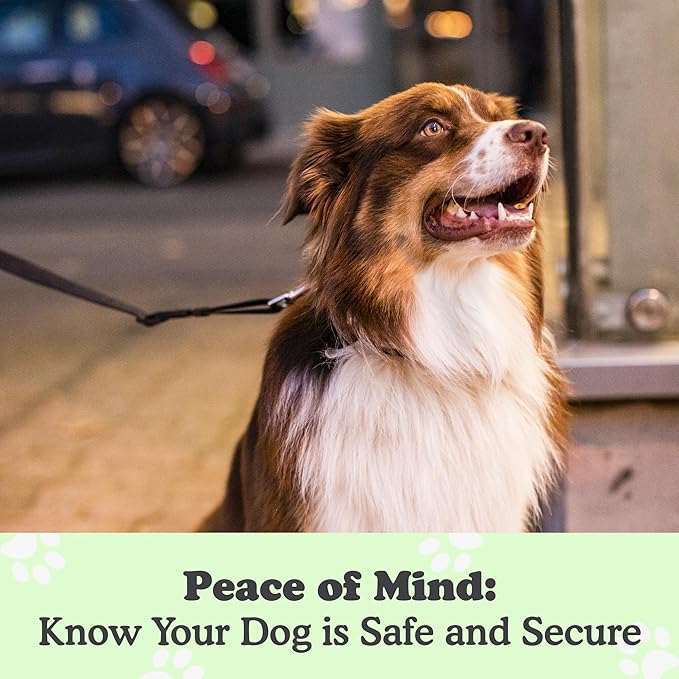 Canine Hitch- Secure Dog Leash Parking Mounted Indoor – Outdoor Wall Hook - Tie Out Stainless Steel Practical Lead Management for Home & Business, Slim Compact 6 Pack