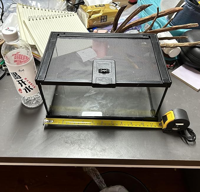 Mini Reptile Glass Terrarium Tank, cage for Tarantula Sling Geckos, Frog, Lizards, Chameleons,Turtles Snake Snail Insect Hermit Crab Isopods Reptiles Enclosure (12x8x6inch)