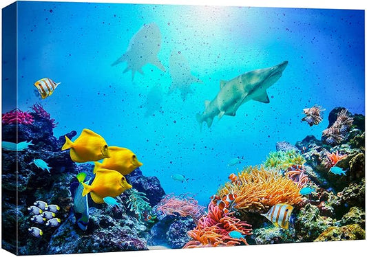 wall26 Canvas Print Wall Art Vibrant Coral Reef Shark Fish Anemone Reef Nature Animals Photography Realism Rustic Scenic Landscape Wilderness Earth for Living Room, Bedroom, Office - 16"x24"